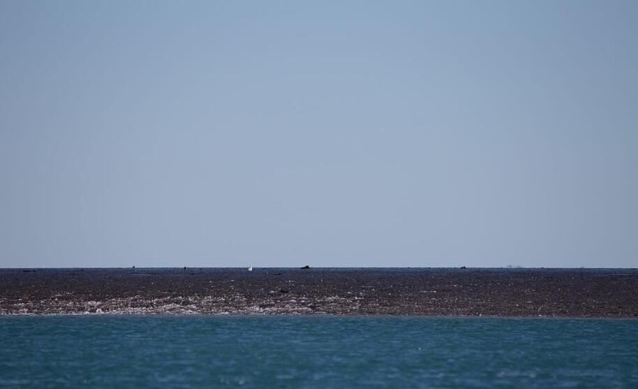 潮汐奇迹：10米落差的蒙哥马利礁