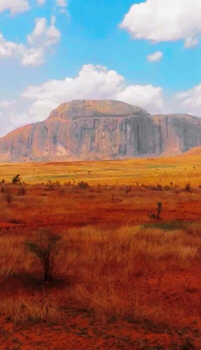 马达加斯加：印度洋的生态琥珀