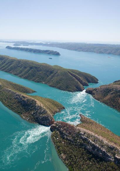 塔尔博特湾晨曲：桉影摇碎一海金箔