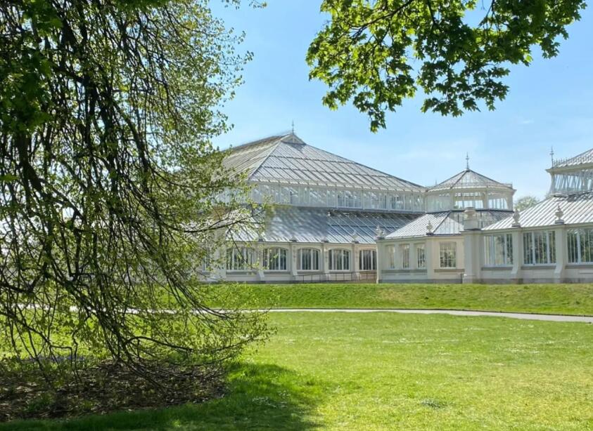 玻璃穹顶下的垂直雨林