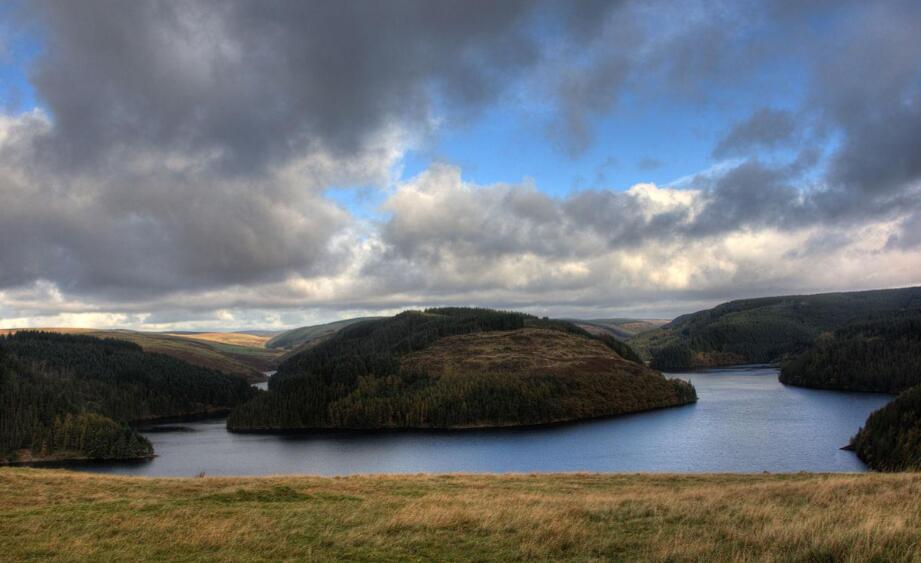 林恩湖晨昏录：碎银与松针的诗篇
