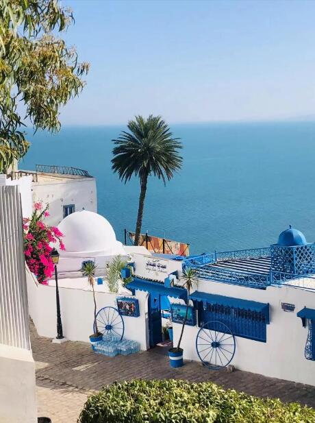 蓝白之间：一个人的突尼斯漫游手记