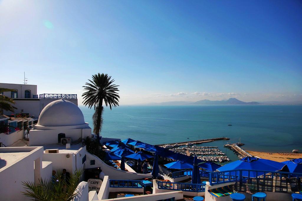 西迪布撒以德的六百年调色盘