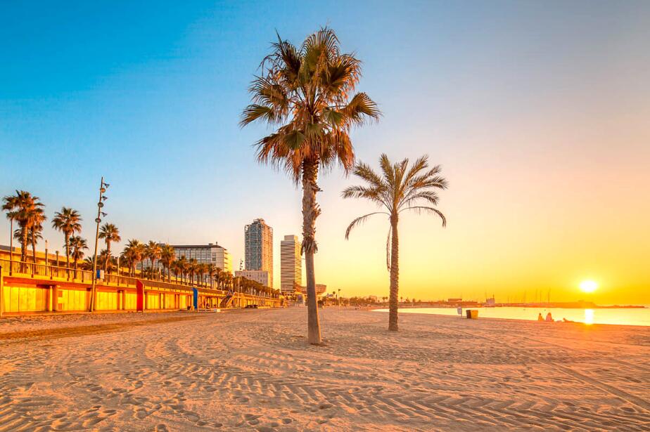 金色沙粒与咸涩梦境