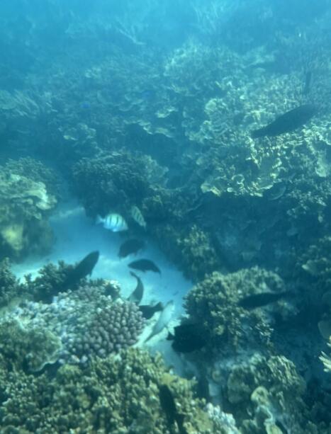 慢放时光的南太平洋秘境