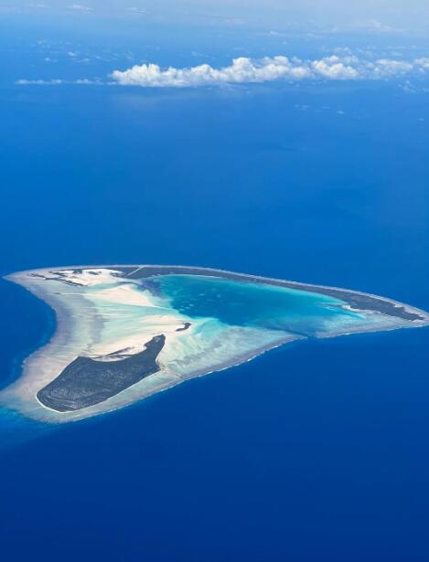 从砗磲贝到座头鲸：赤道环礁的蓝色基因库