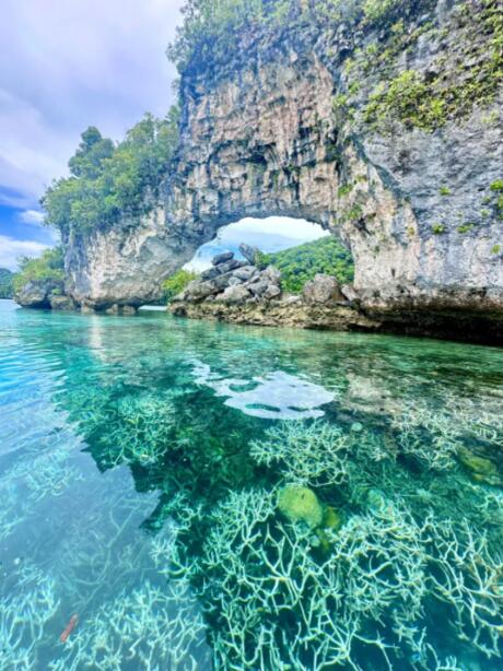 蓝角龙卷风与天使之翼:帕劳的垂直王国