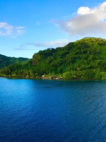 于香草芬芳中,邂逅波利尼西亚的田园慢梦