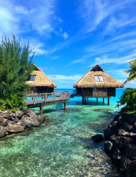 在南太平洋的蔚蓝画布上,绘就一幅磅礴的生命画卷