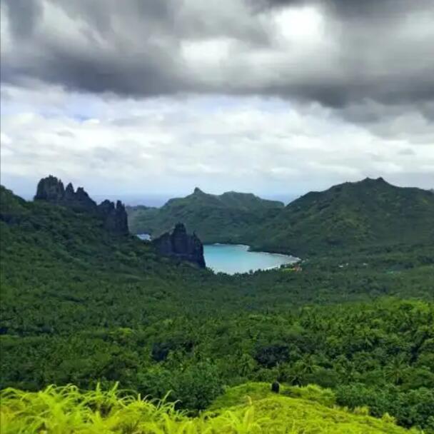 在南太平洋的狂野角落,探寻艺术与自然的终极密码