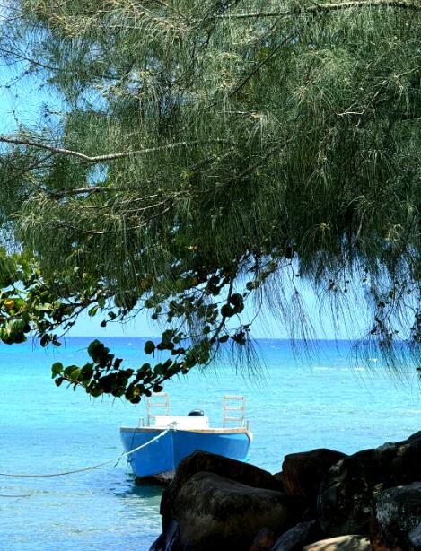 拉罗汤加岛:山海相拥处,绘就波利尼西亚的立体天堂画卷