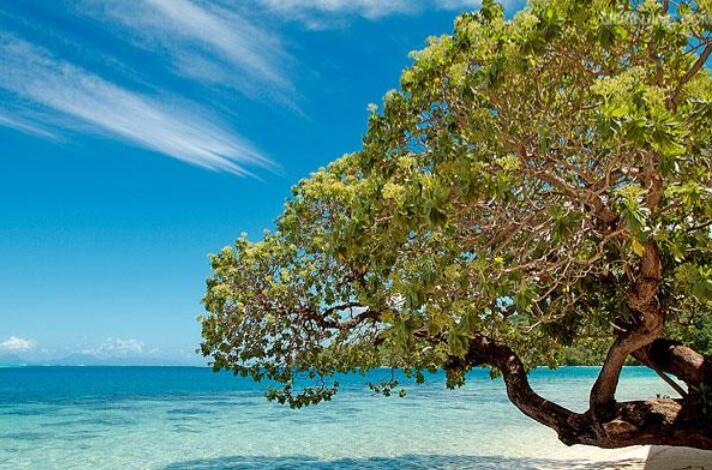 时光停驻之地:胡阿希内岛的色彩诗篇