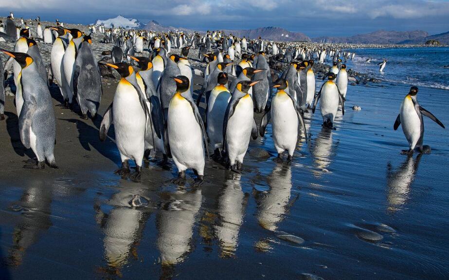 极光、锈色与午夜阳光:古利特维肯的光影三重奏