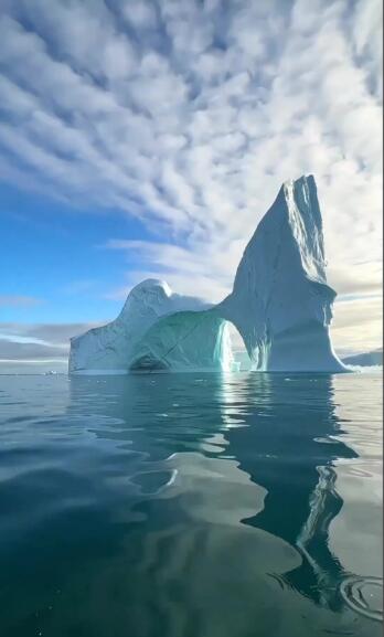 白色荒原上的生命标点