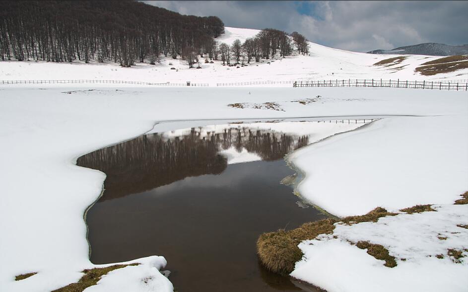 苔原色毯:永冻层上的微观色彩暴动