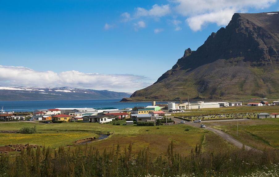 冰与光的交响诗:北极圈银扣上的苔原调色盘