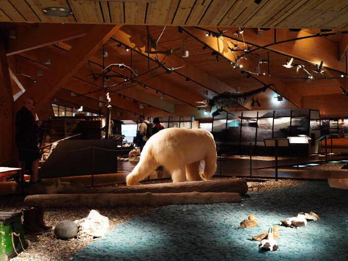 冰川下的博物馆:聆听时间冻结的声音