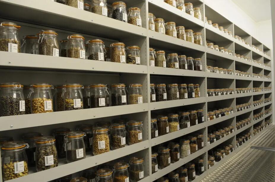 把春天,藏进-18℃的冻土