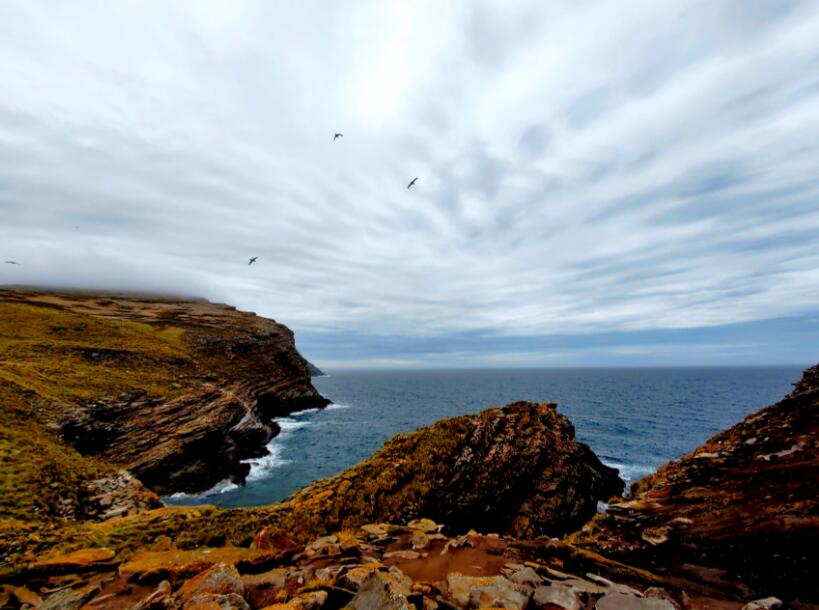 灯塔、海胆与极光舞