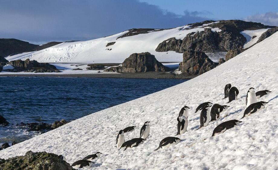 当冰山成为艺术品,我们只是幸运的观众