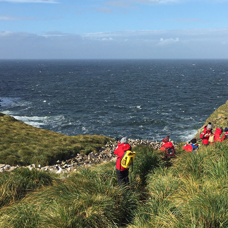 为什么福克兰群岛逐渐从主流南极行程中的"淡出"