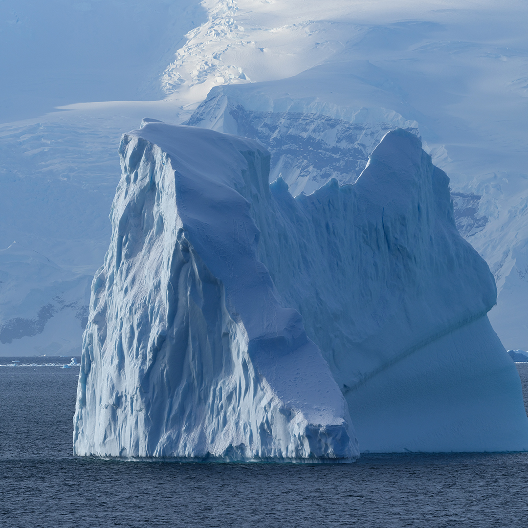 南极旅行摄影装备全攻略:捕捉冰雪世界的极致之美