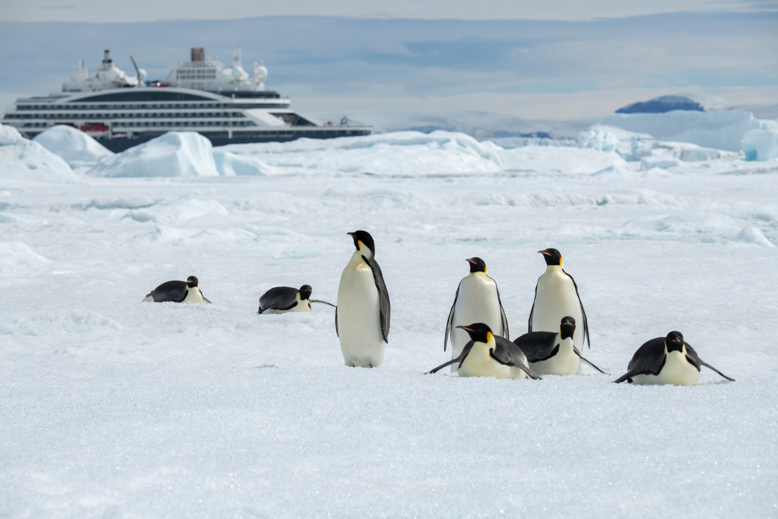 039_C271122_Antarctica_Weddell-Sea_Snow-Hill©PONANT_Photo-Ambassador-Cindy Miller Hopkins.jpg 039_C271122_Antarctica_Weddell-Sea_Snow-Hill©PONANT_Photo-Ambassador-Cindy Miller Hopkins.jpg