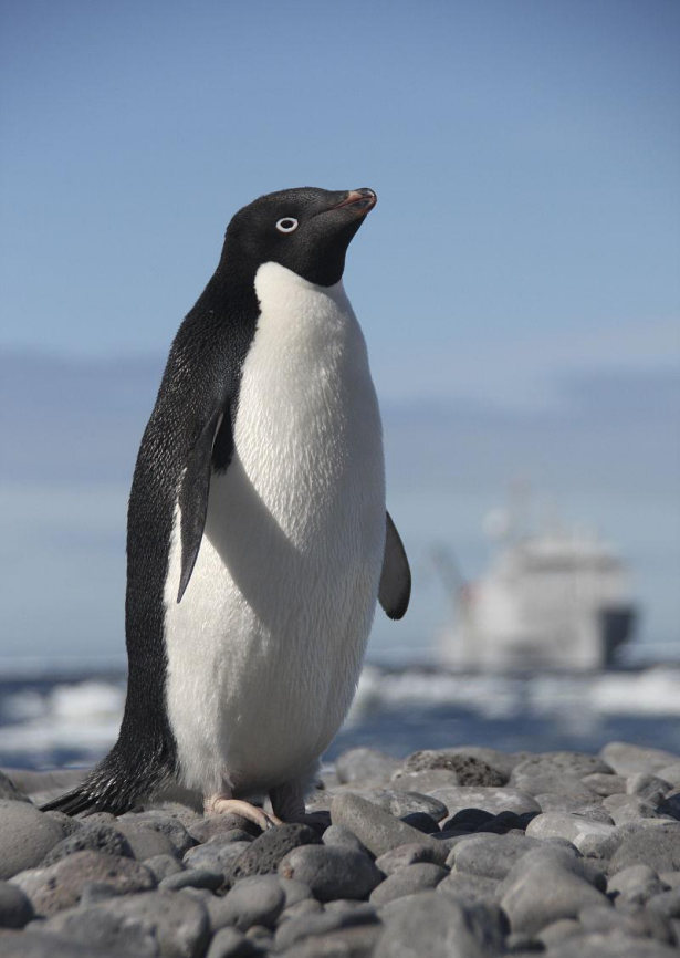 3e6d7f51fd8ba86a4b58311adfd57283.png 3e6d7f51fd8ba86a4b58311adfd57283.png