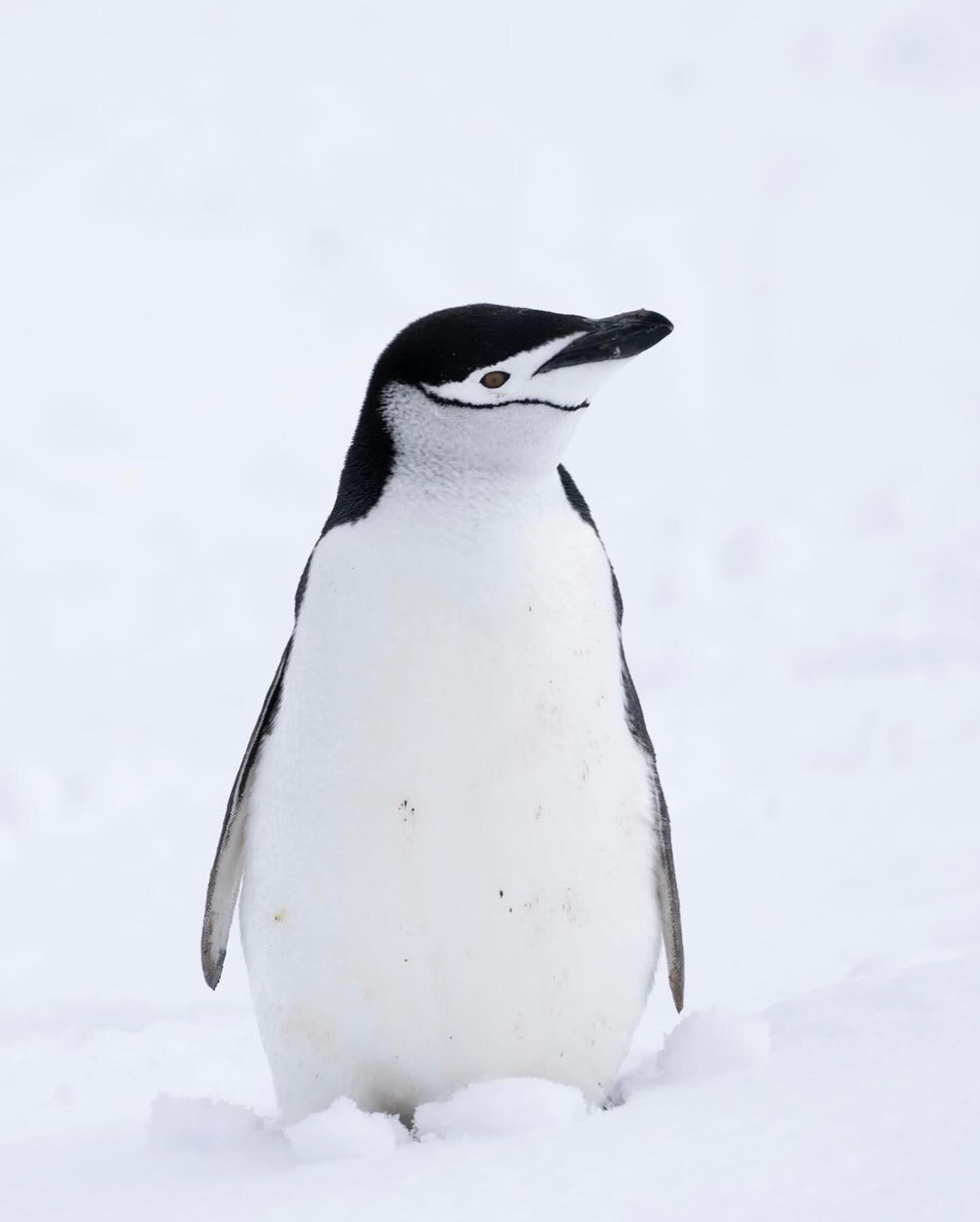 412365697_770711605072897_4230505570784277818_n.jpg 412365697_770711605072897_4230505570784277818_n.jpg