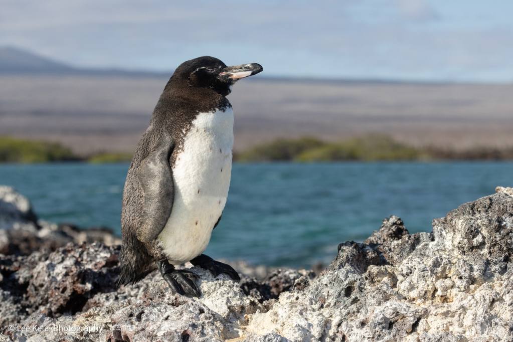 6D7A6437.jpg 6D7A6437.jpg