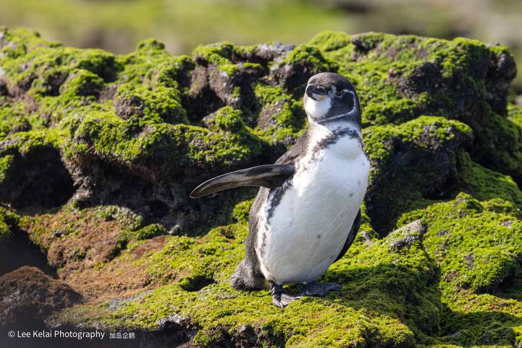 6D7A5330.jpg 6D7A5330.jpg