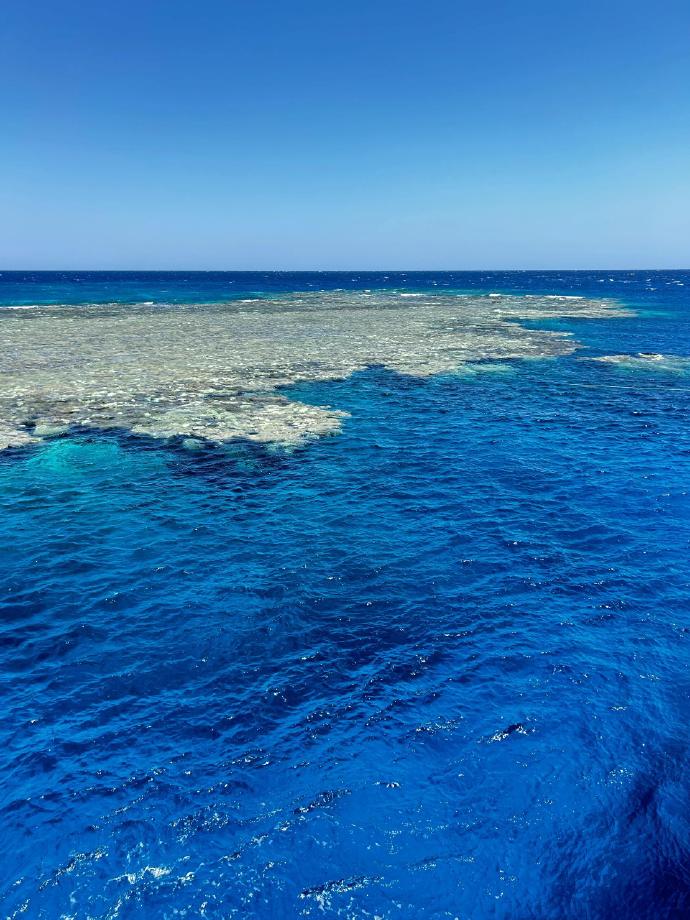 007v2LPzly1htroxqz48wj31hc1z41co.jpg 007v2LPzly1htroxqz48wj31hc1z41co.jpg