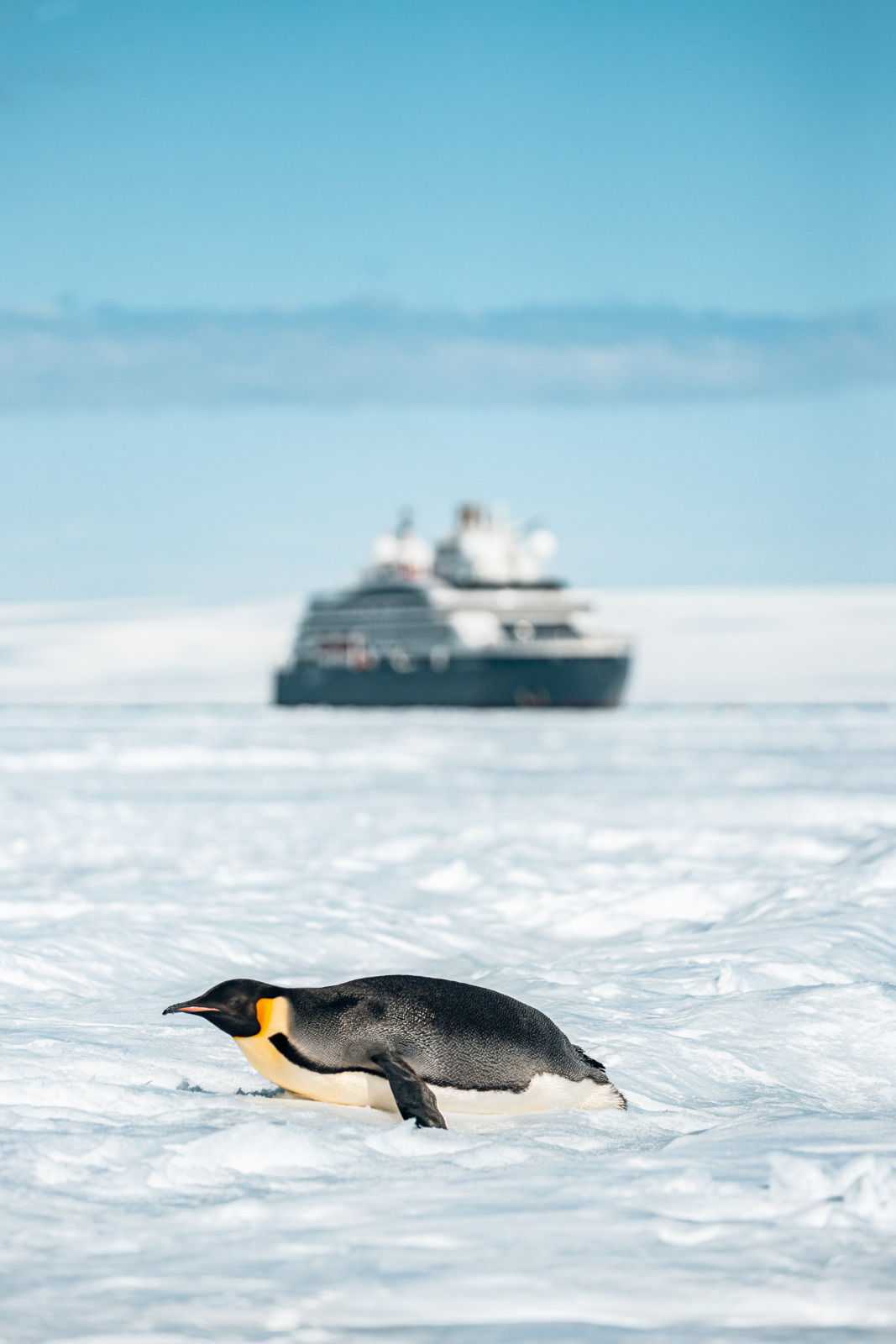 A15I3377 (1).jpg A15I3377 (1).jpg