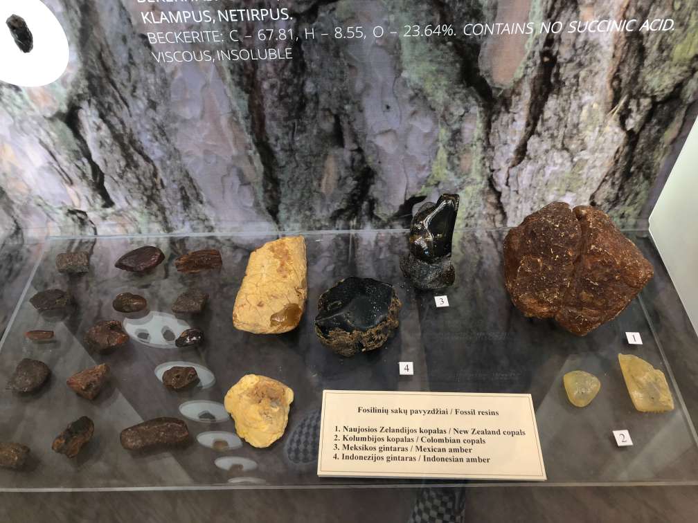 20180803巡游波罗的海探索彼得大帝的梦想之城 克莱佩达4.jpg 20180803巡游波罗的海探索彼得大帝的梦想之城 克莱佩达4.jpg