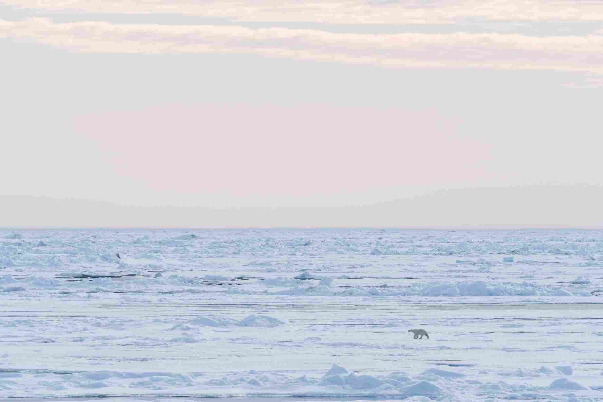 2 (38).jpg 2 (38).jpg