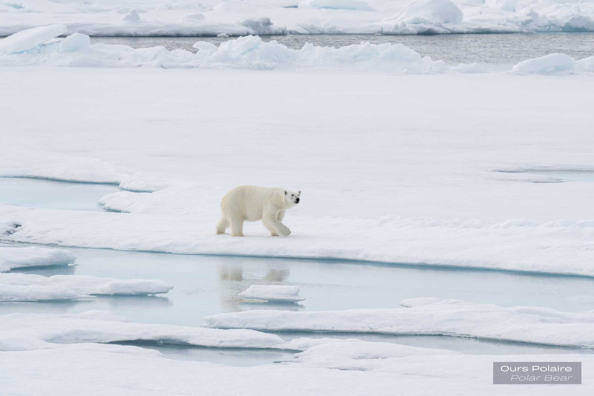 2 (14).jpg 2 (14).jpg