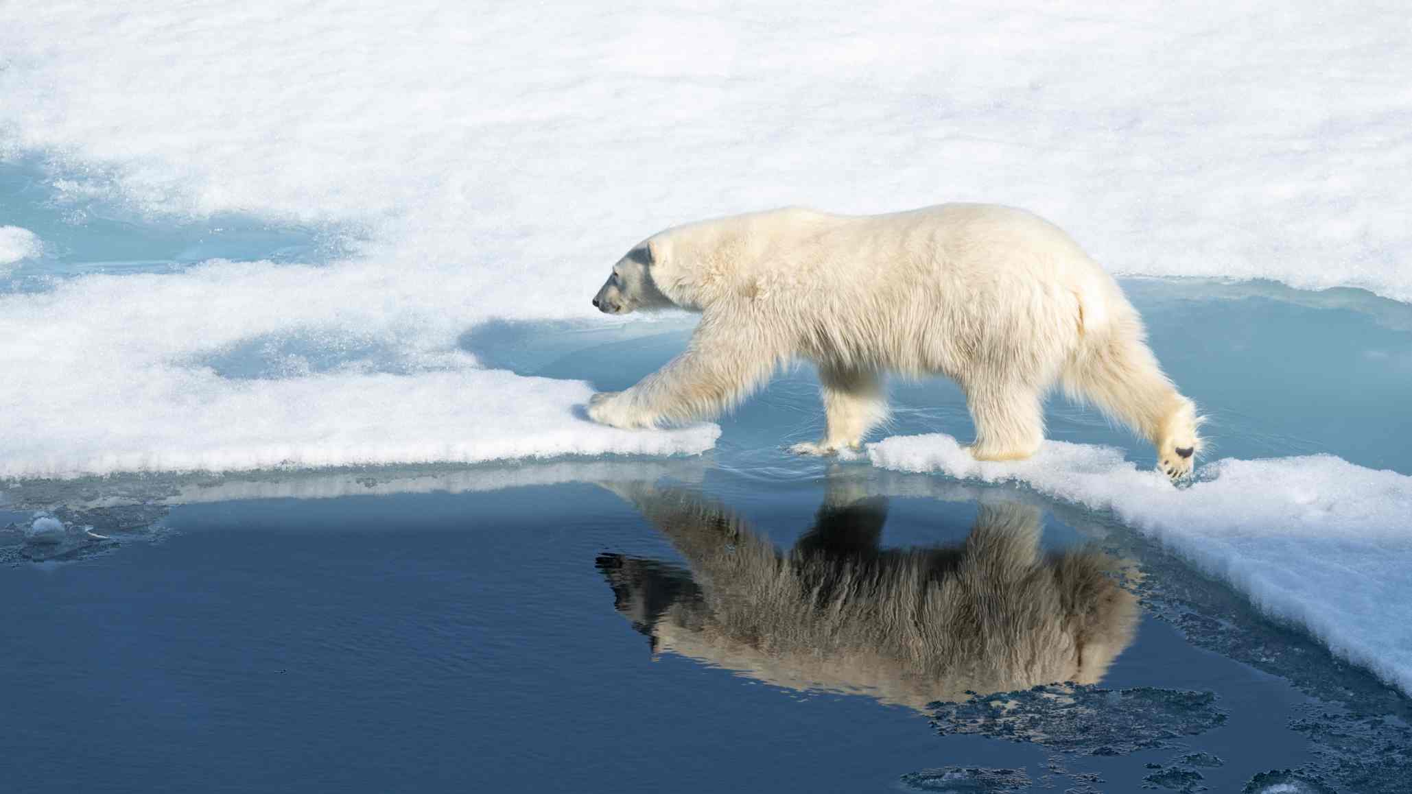 2 (103).jpg 2 (103).jpg