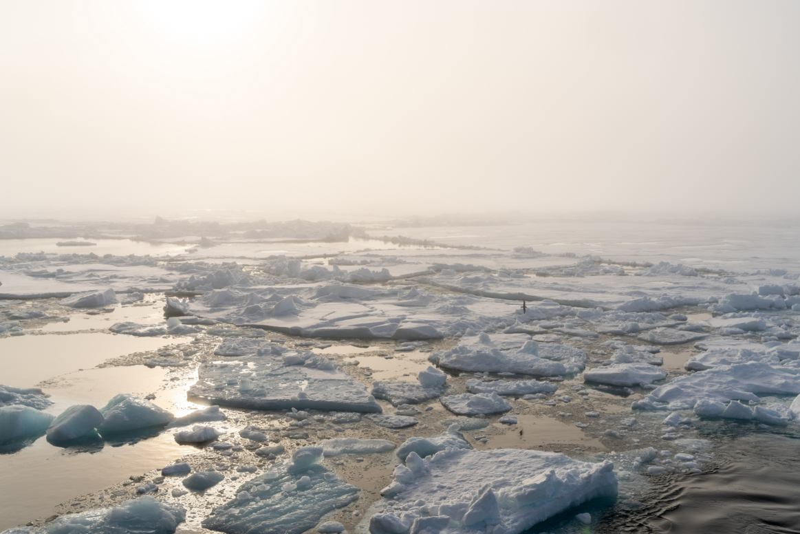 2 (34).jpg 2 (34).jpg