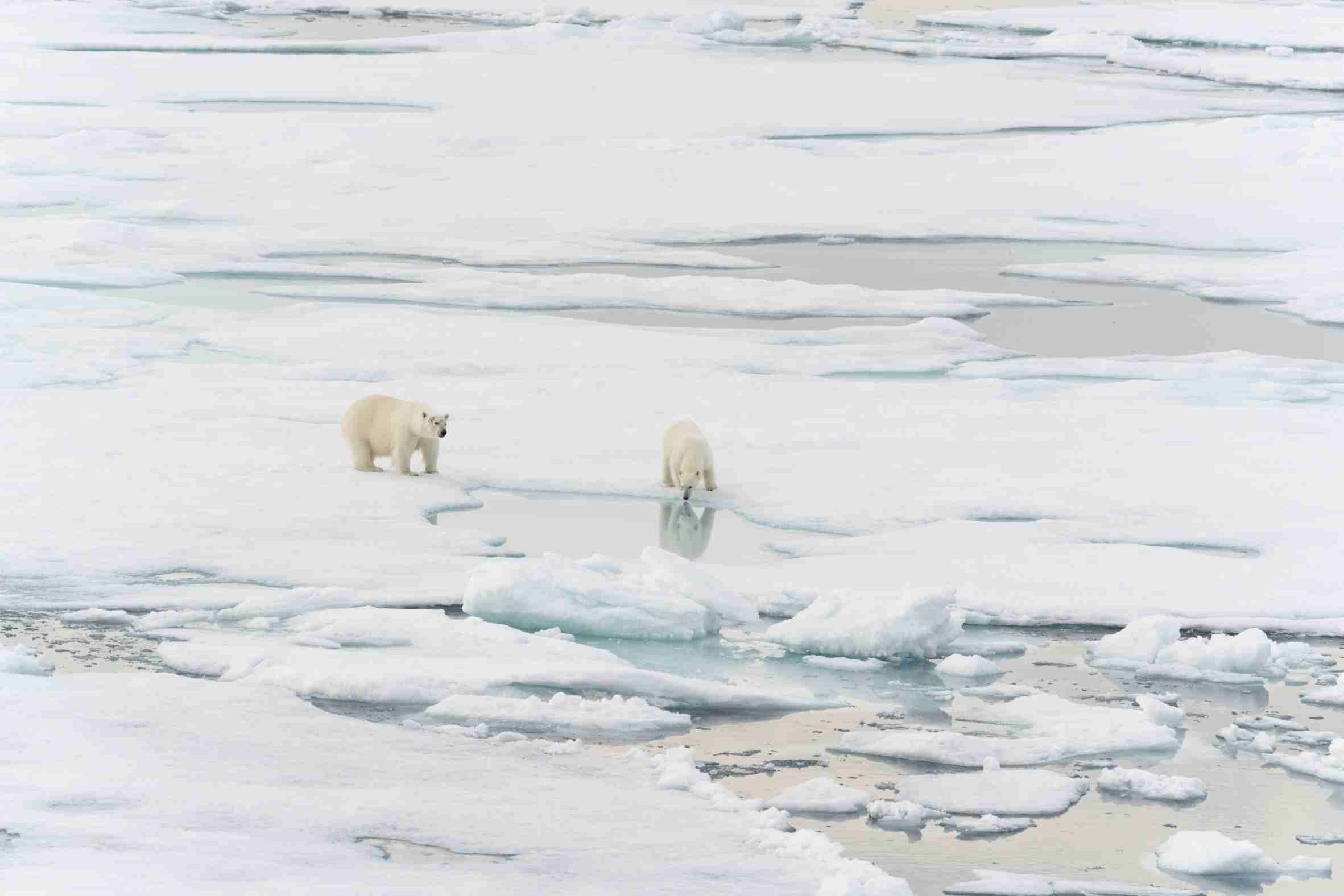 2 (171).jpg 2 (171).jpg