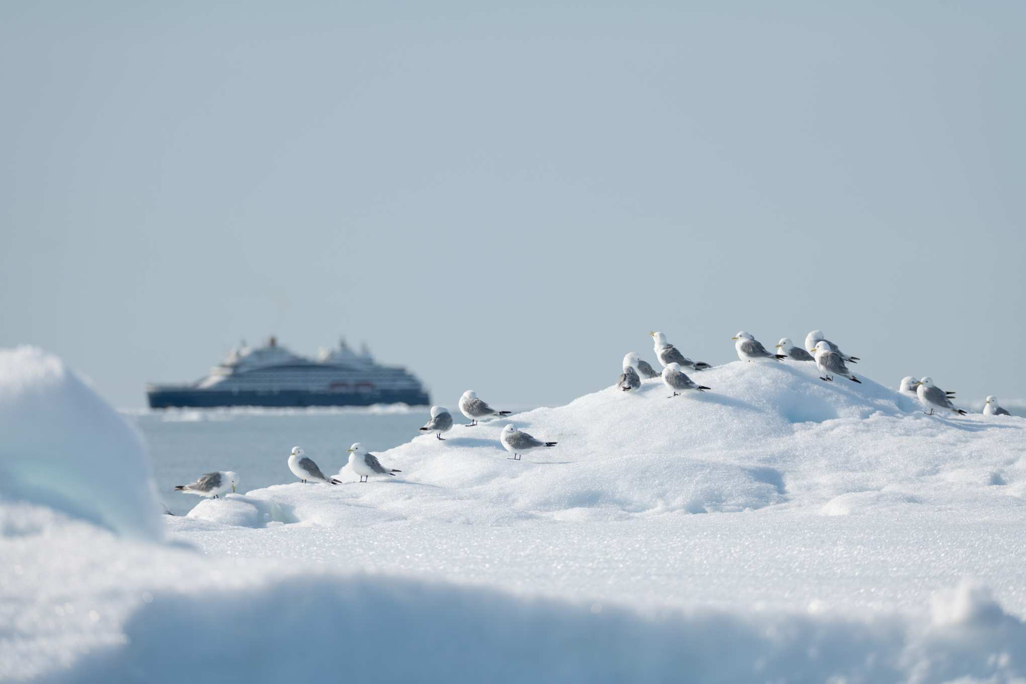 2 (117).jpg 2 (117).jpg