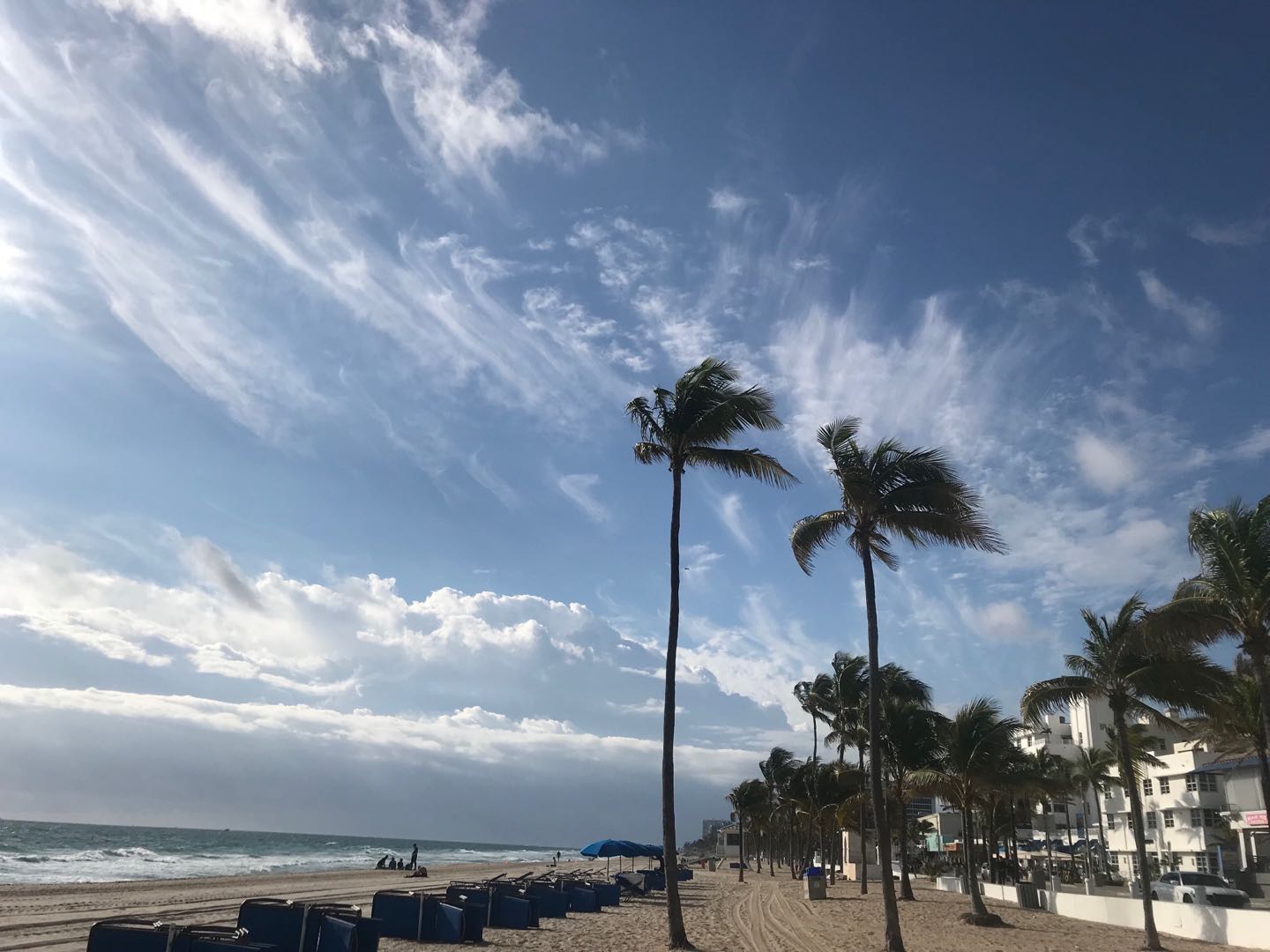 20190131劳德代尔堡5.jpg 20190131劳德代尔堡5.jpg