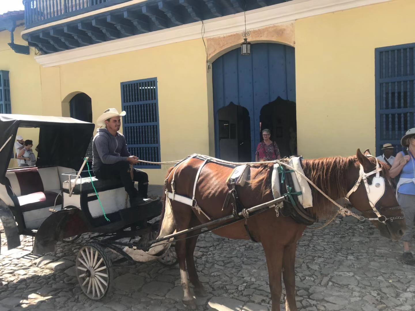 20190205特立尼达9.jpg 20190205特立尼达9.jpg