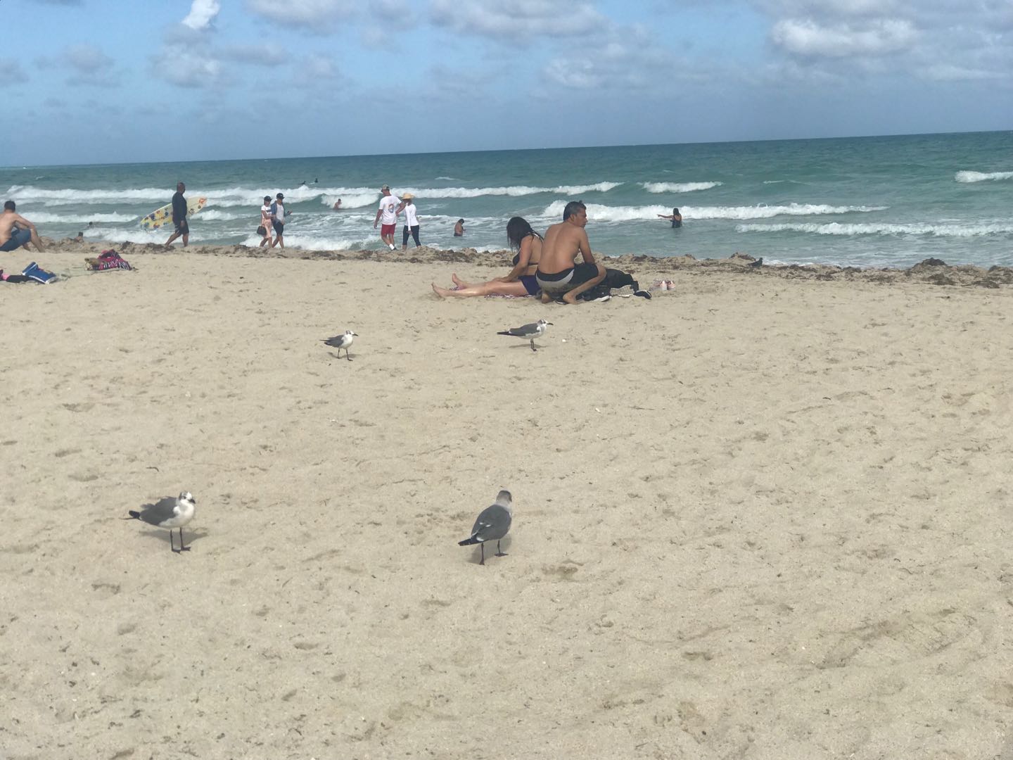 迈阿密:在阳光与海浪之间,一场永不停歇的盛宴