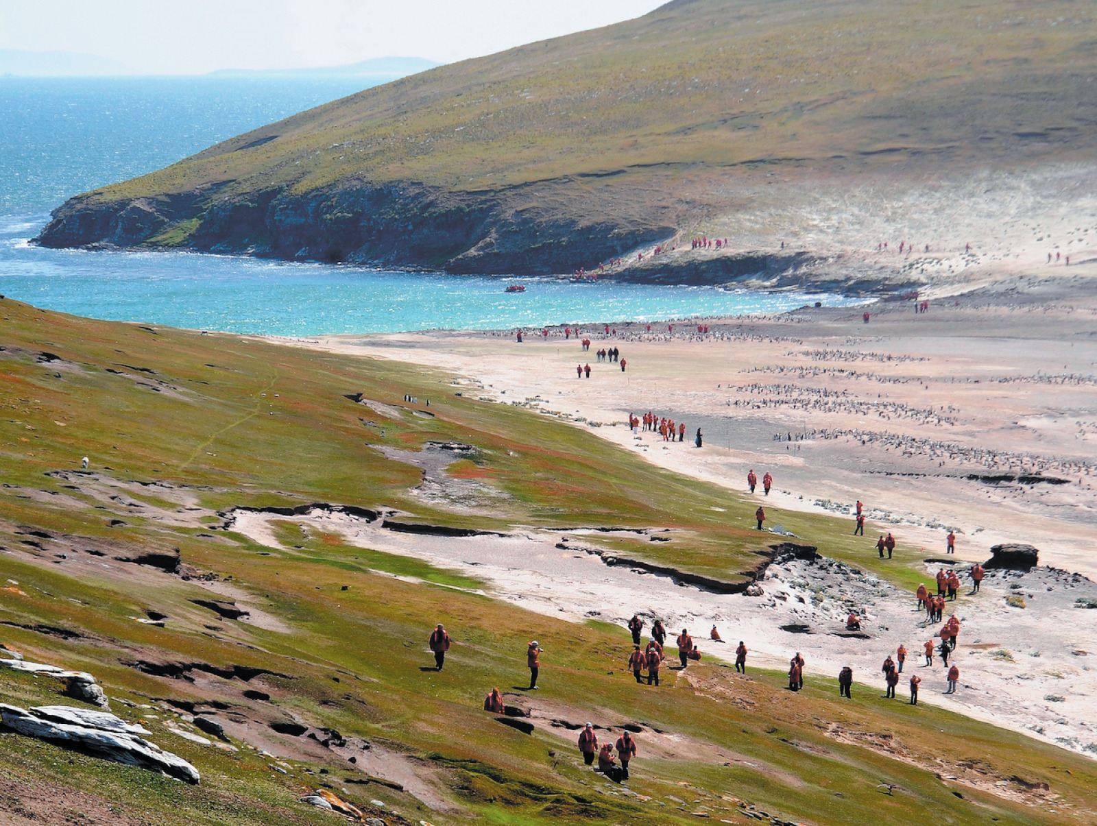 Falkland Islands - 活动.jpg Falkland Islands - 活动.jpg