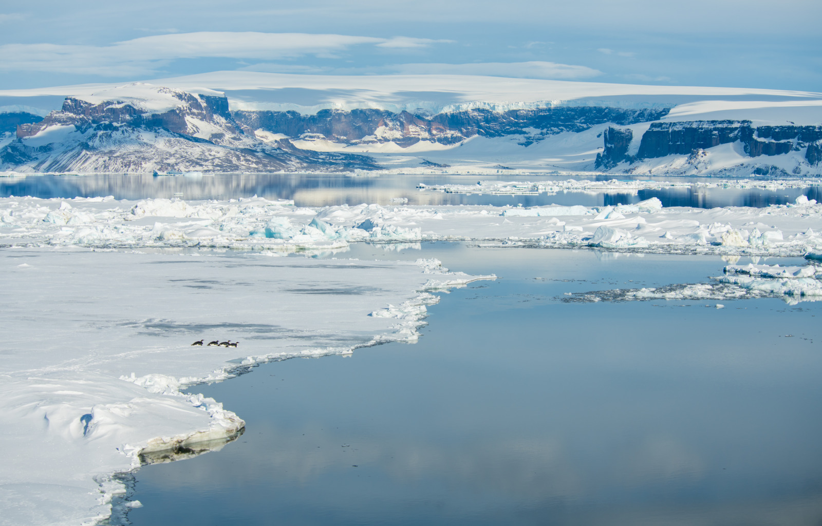 Weddell Sea - 风景5.jpg Weddell Sea - 风景5.jpg