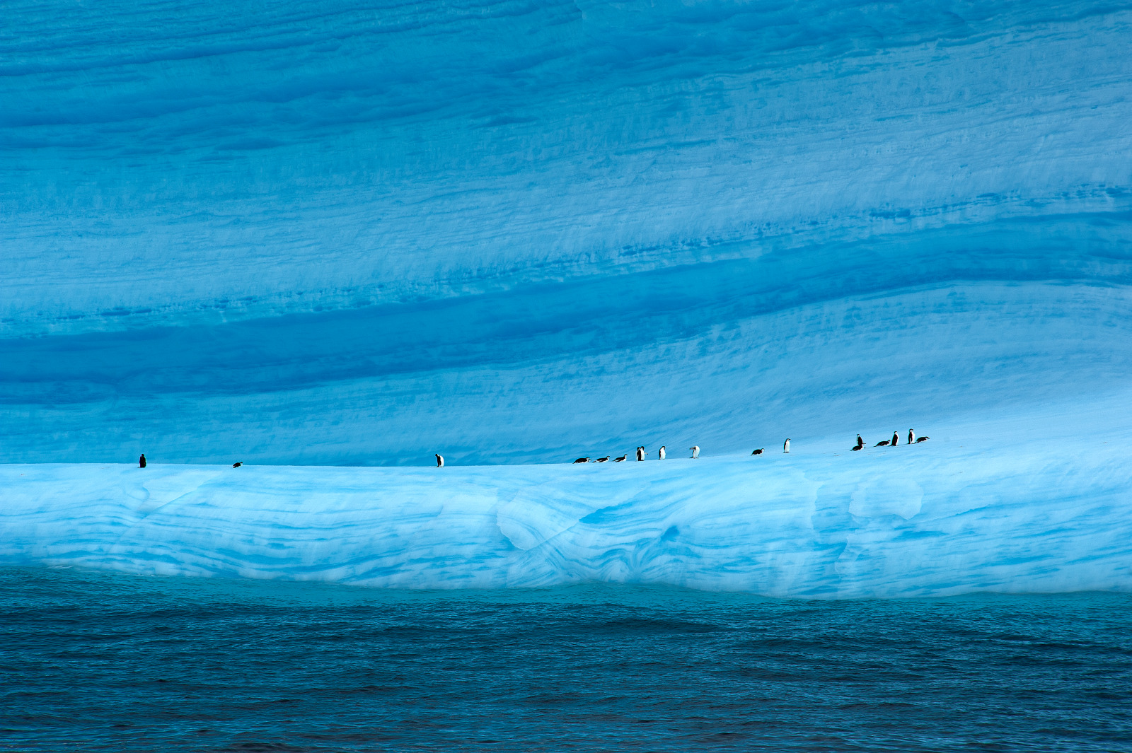 Weddell Sea - 风景2.jpg Weddell Sea - 风景2.jpg
