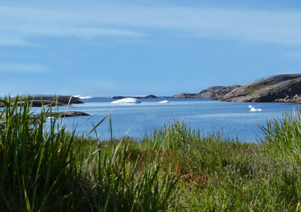 Falkland Islands - 风景2.jpg Falkland Islands - 风景2.jpg