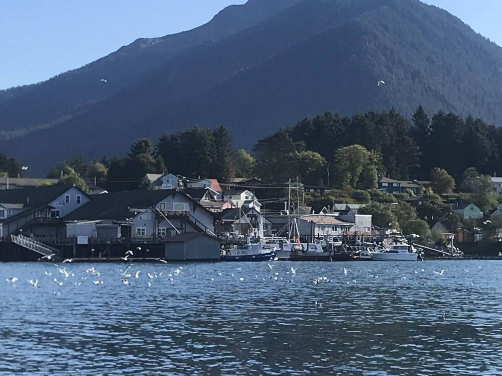 20180919_IMG_7501.JPG
