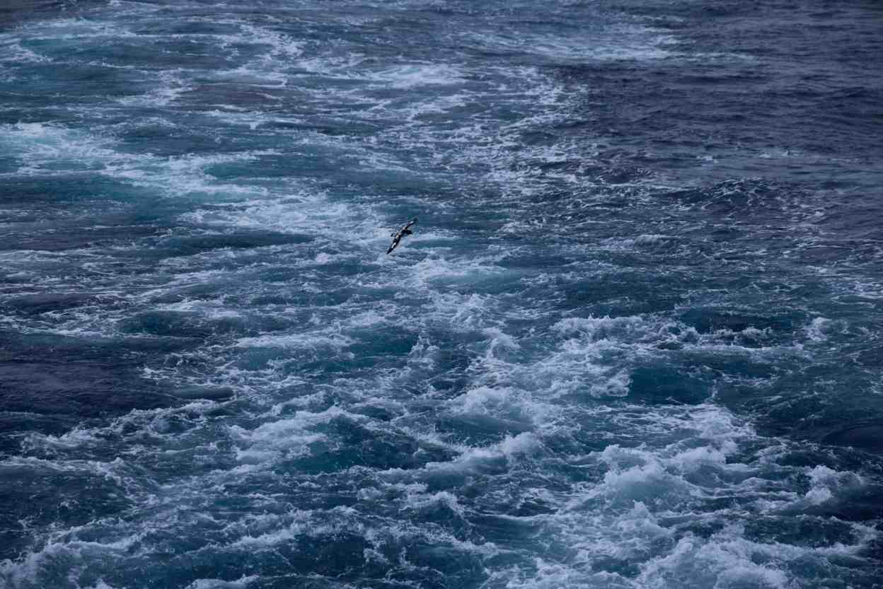 狂野的南极门户德雷克海峡