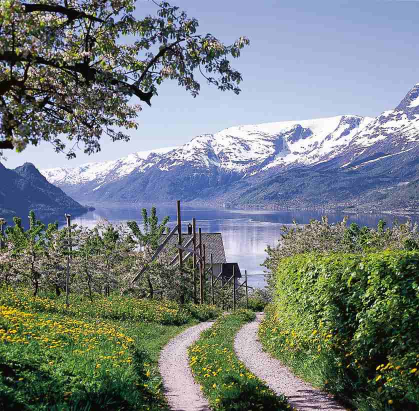 A taste of Hardanger - Trond Tandberg.jpg